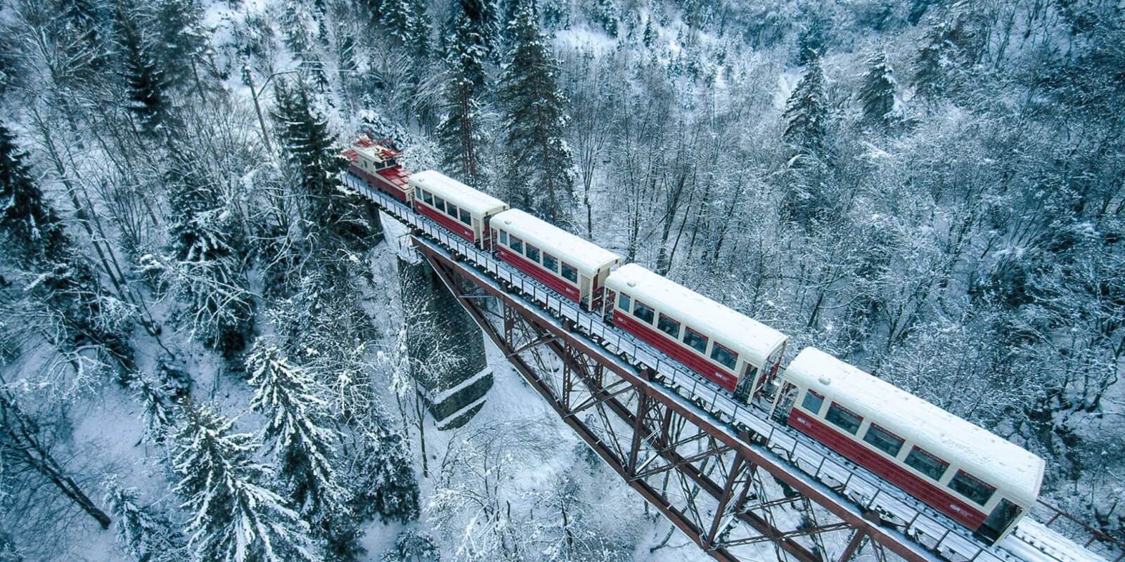 Kukushka Train to Bakuriani