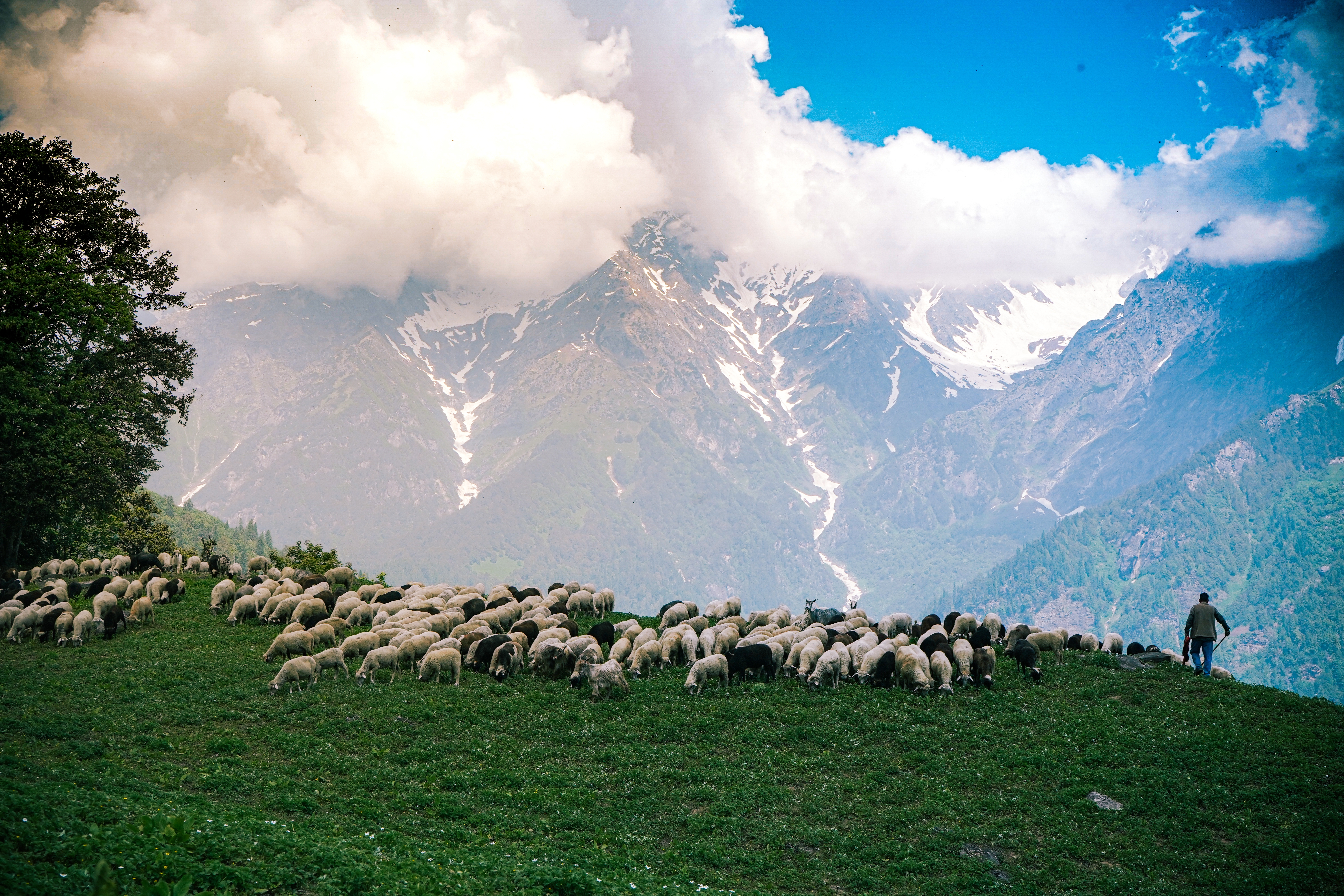 Gudauri & Kazbegi landscape